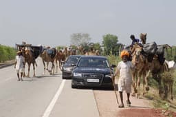 Audi Great India quattro Drive 3 photo gallery  